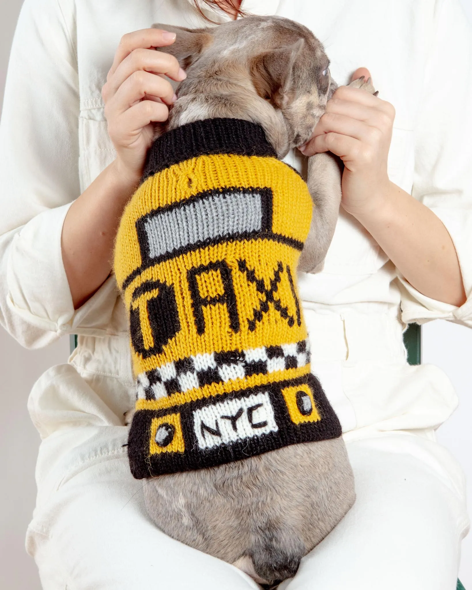 NYC Taxi Handknit Dog Sweater (Dog & Co. Exclusive)